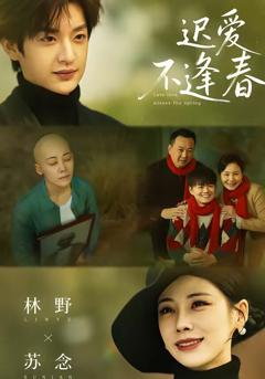 《迟爱不逢春》