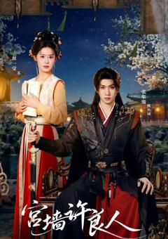 《宫墙许良人》