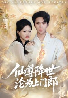 《仙尊降世沦为上门郎》