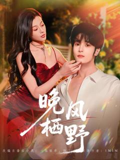 《晚风栖野》