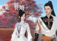 《赘婿又见赘婿》