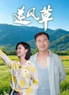 逆风草