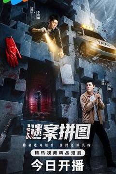 《谜案拼图》