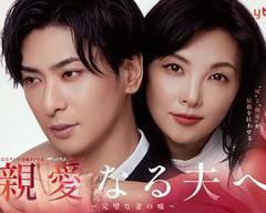 《致亲爱的丈夫~完美妻子的谎言~》