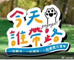 《今天谁带路》