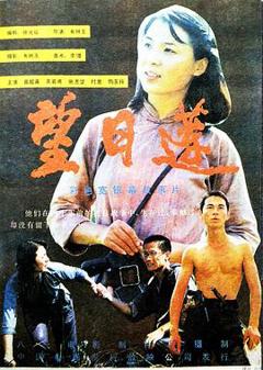 《望日莲》